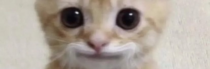jackanib24's profile banner image