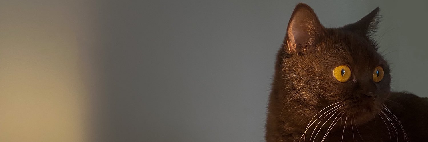 isabelaadi's profile banner image