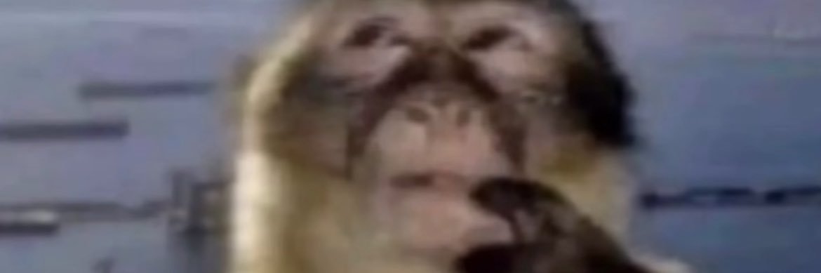 stephonsjd's profile banner image