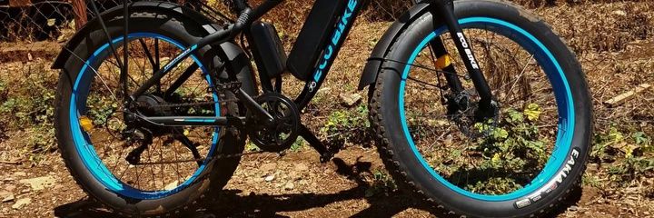 _Braam's profile banner image