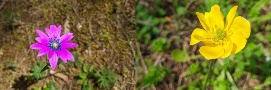Panarm's profile banner image