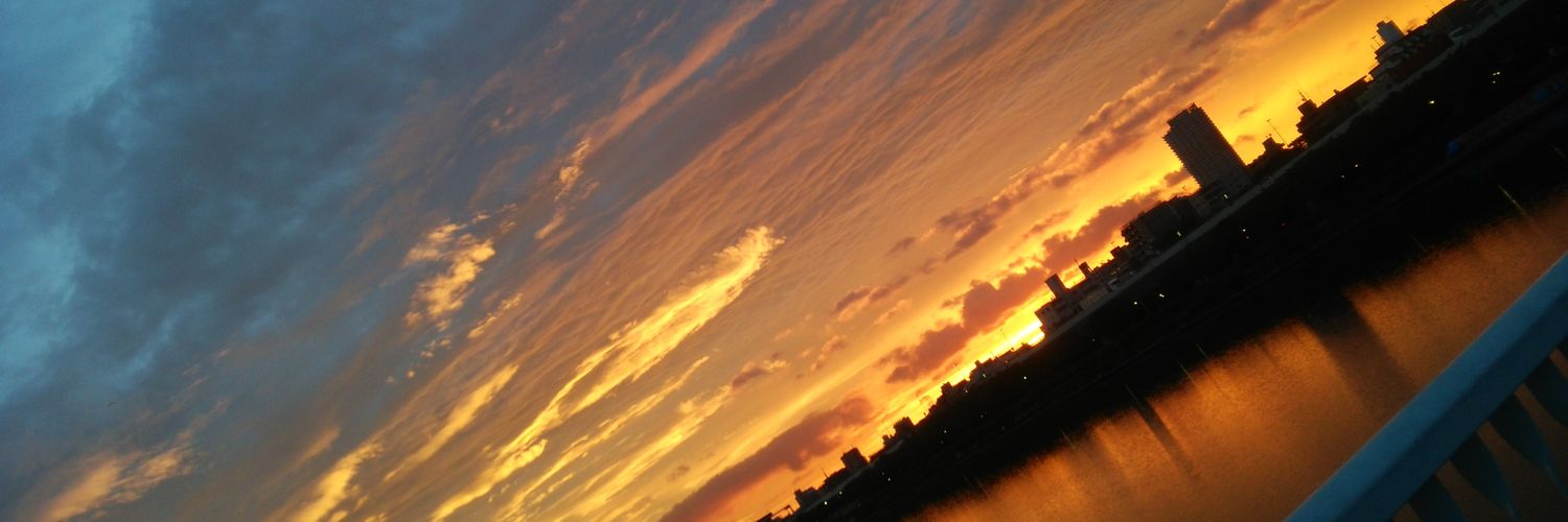 taro0831's profile banner image