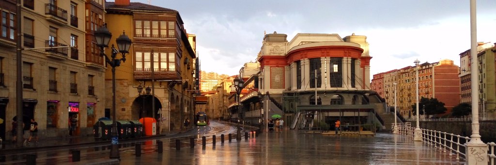 carpecan's profile banner image