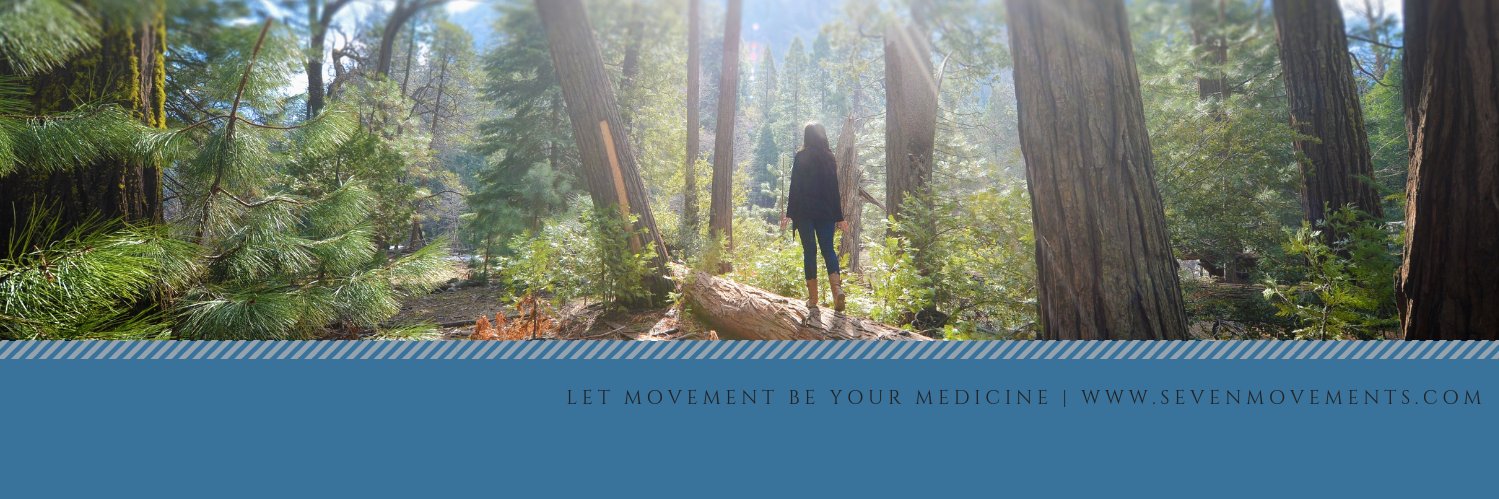 Seven Movements banner