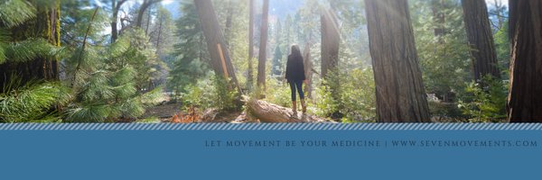SevenMovements Profile Banner