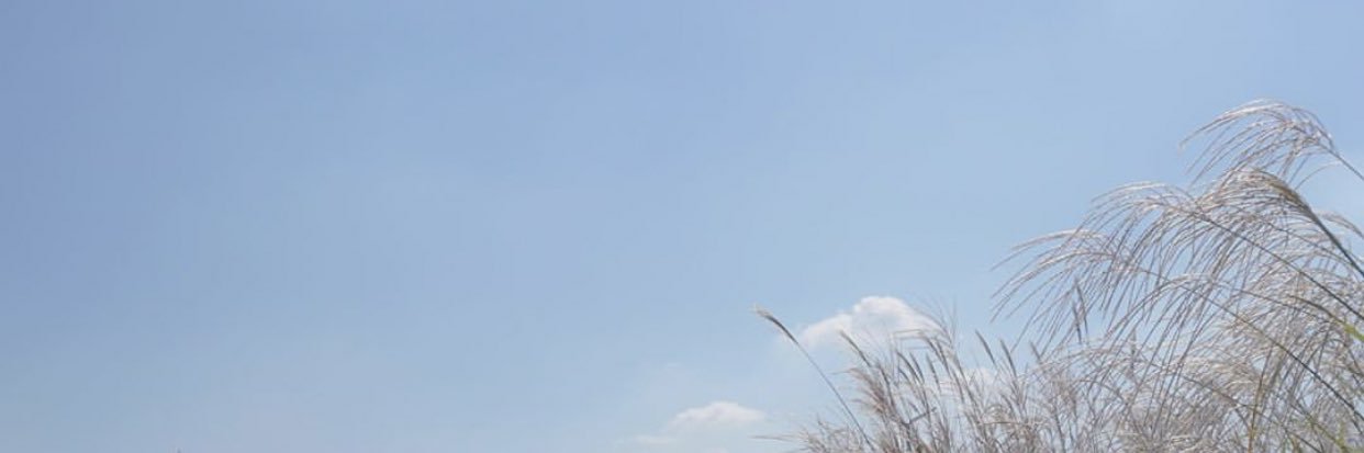 ntchlhsh's profile banner image