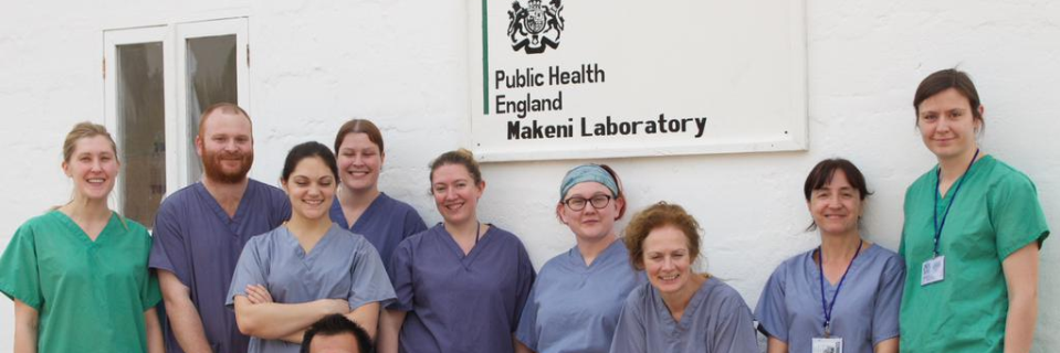Becky Haywood banner
