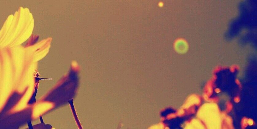 __s_redman's profile banner image