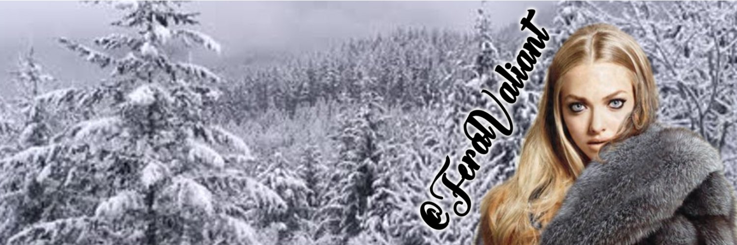 FeralValiant's profile banner image