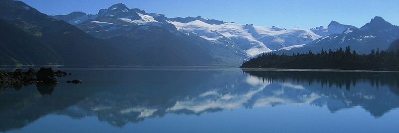 big Suz 🇨🇦✌️🐝🌻🐕‍🦺 💕 banner