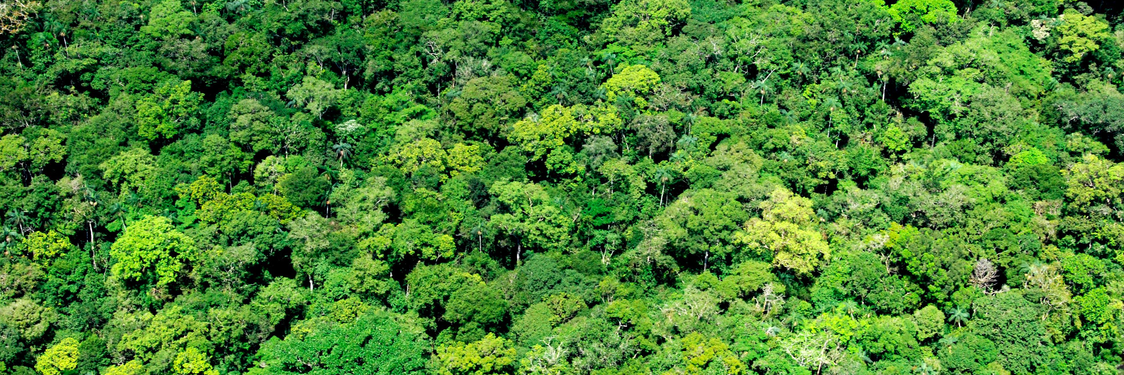 GR4484's profile banner image