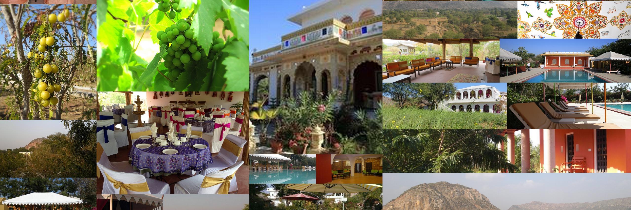 Achrol_bagh's profile banner image
