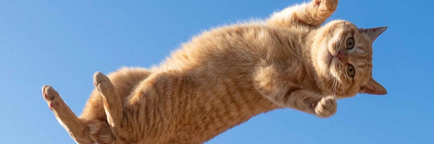 aebdelgado's profile banner image