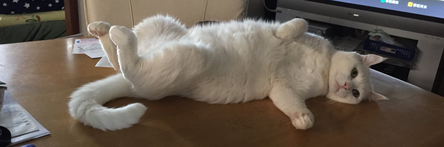 bluepin's profile banner image