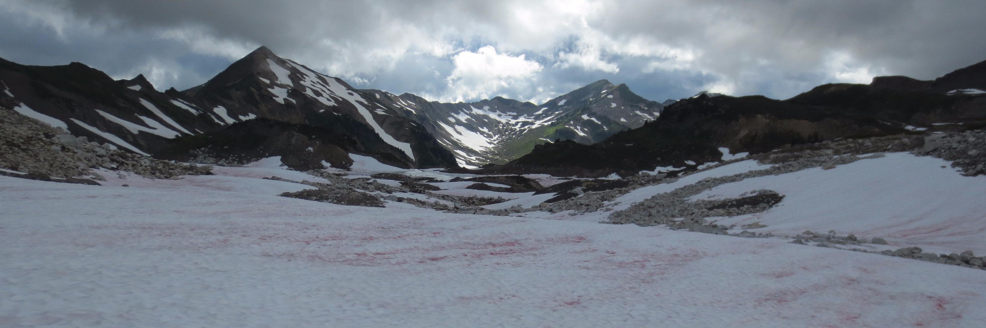 jdvosburgh's profile banner image