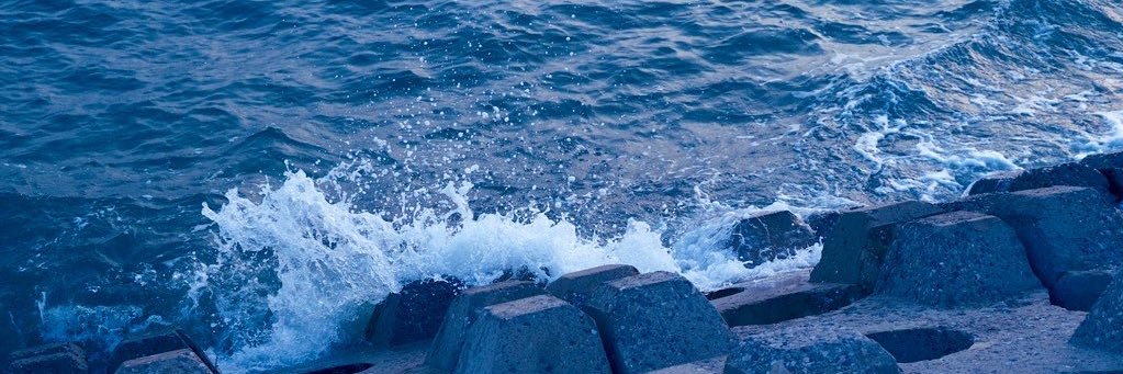 Koinsaru_'s profile banner image