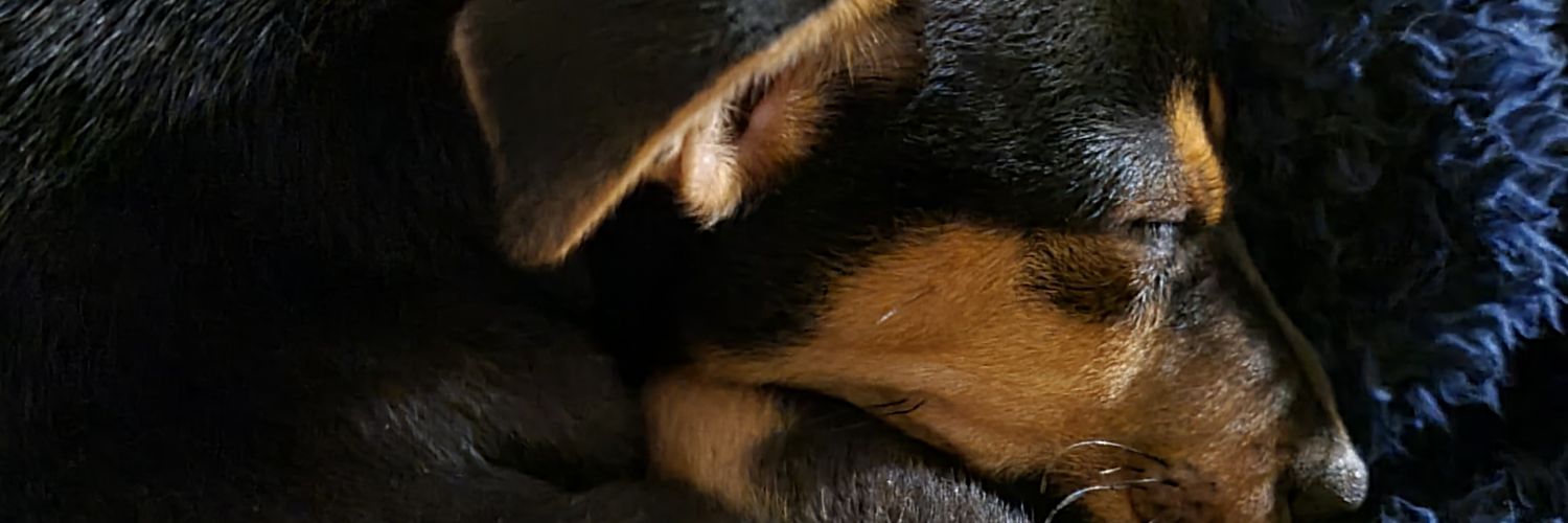 melhun846's profile banner image