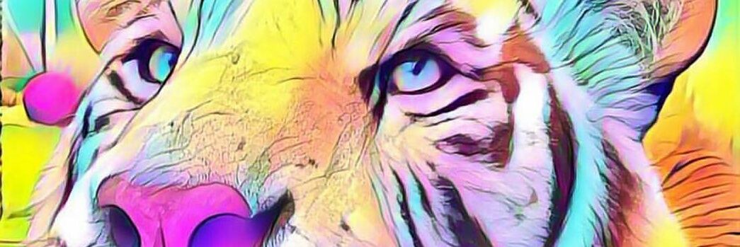 viroberlander's profile banner image