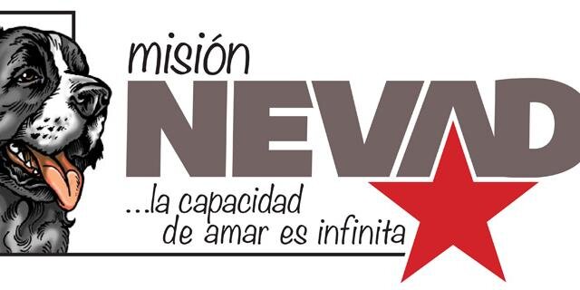 MNevado_Radio's profile banner image