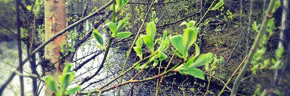 JonnaMalmberg's profile banner image