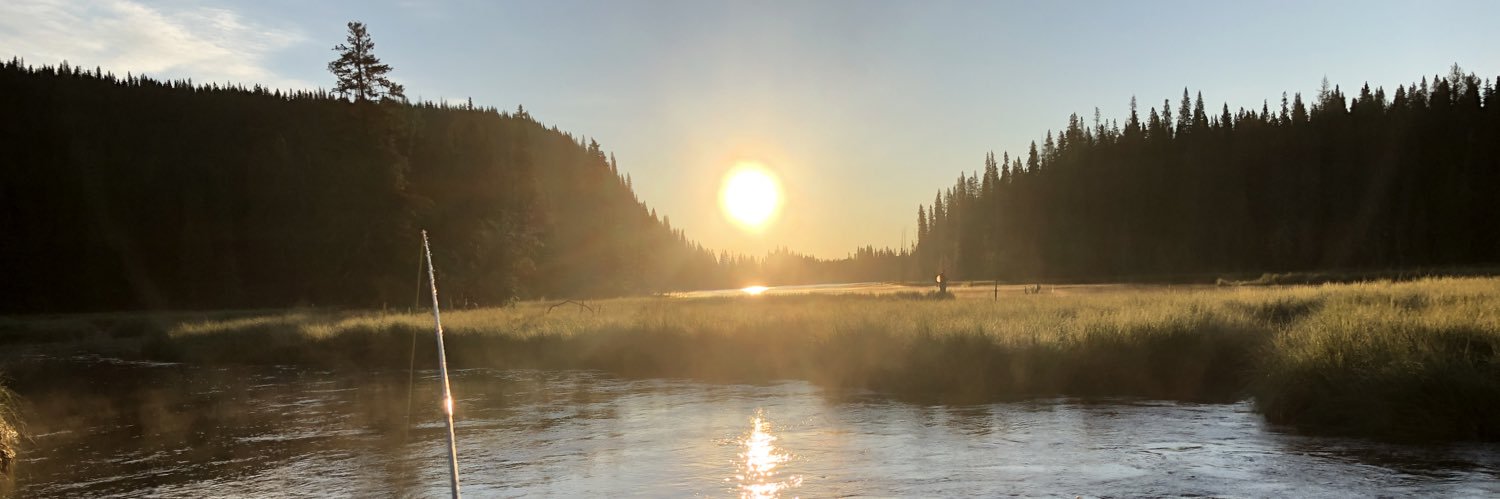 tleeroz's profile banner image