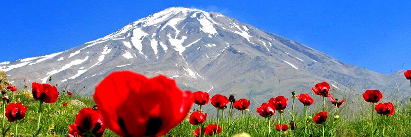 Pentest-IS🇮🇷 banner