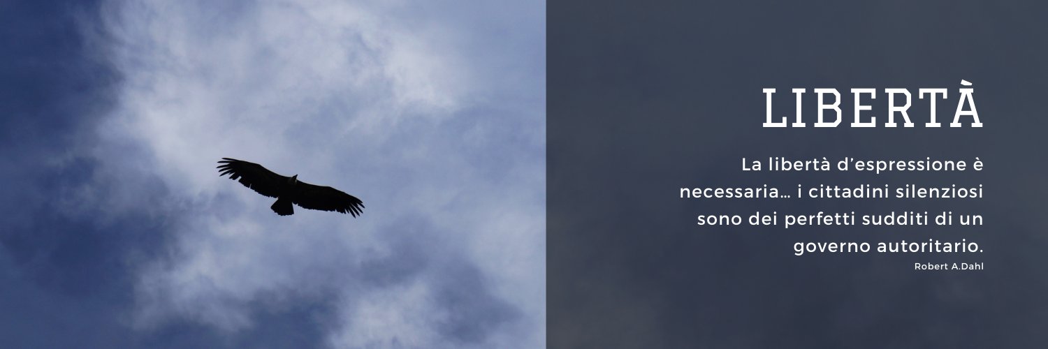 bcarenini's profile banner image
