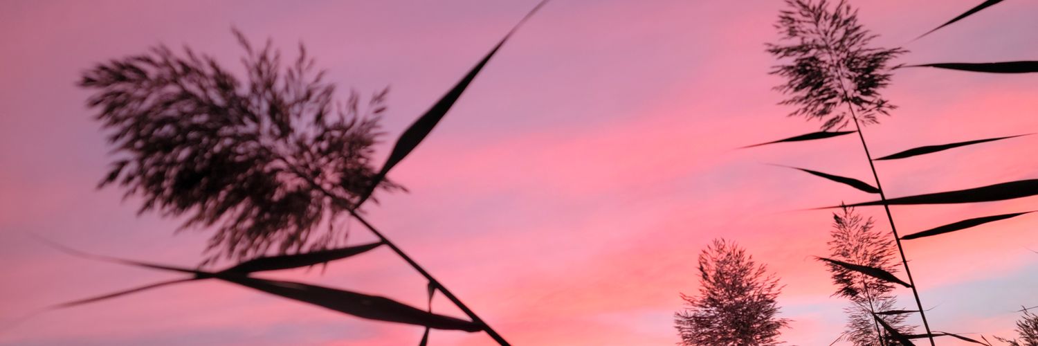i2putt's profile banner image
