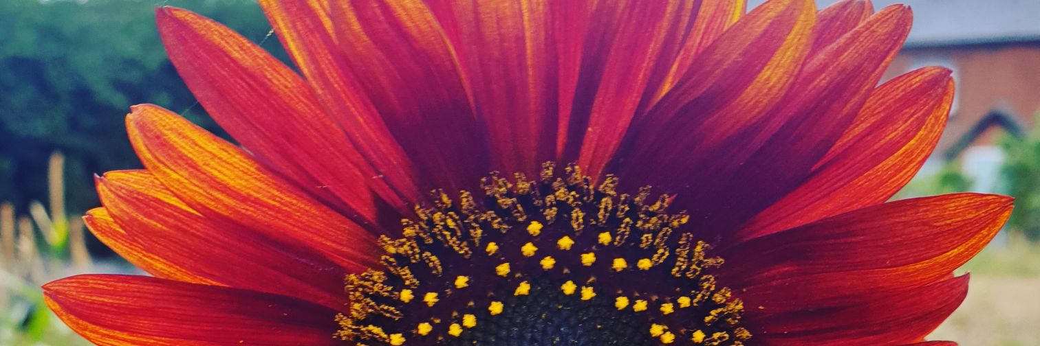 billholderuk's profile banner image