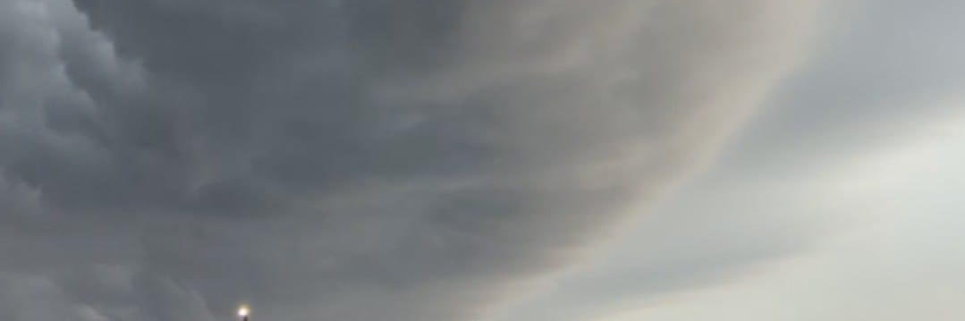 PrincessVenom81's profile banner image
