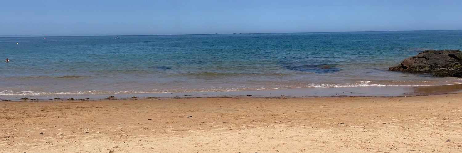 JO BICKERSTAFFE CHARLESTON banner