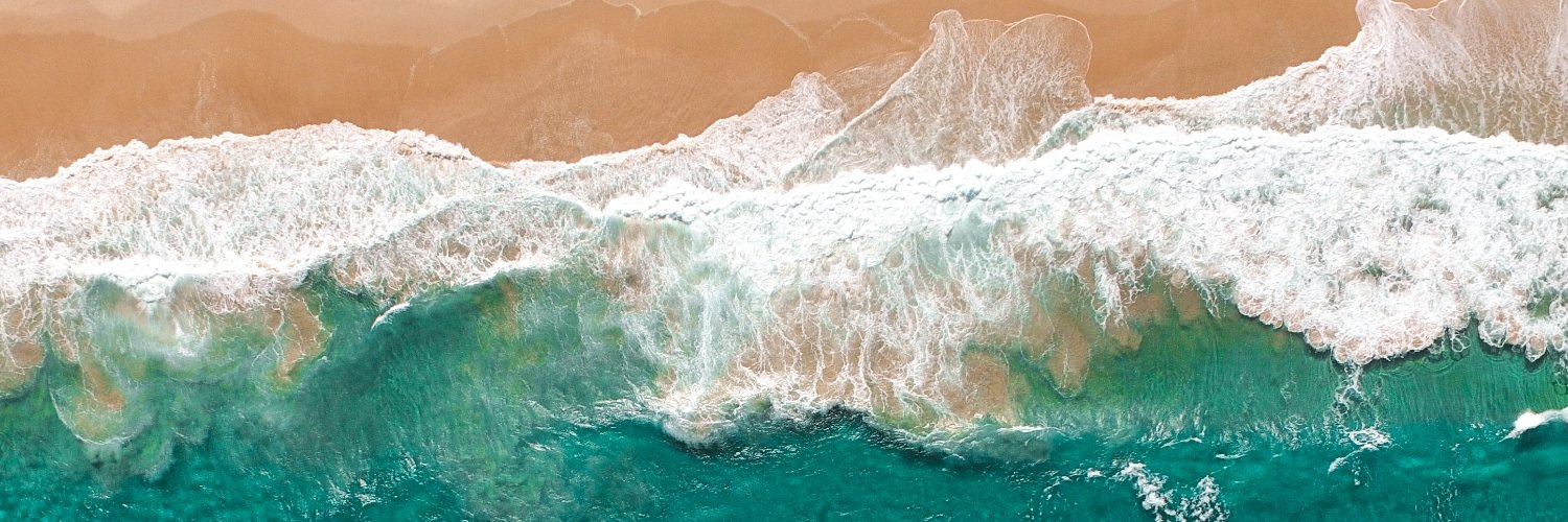 Rebecca Mikula Wright banner