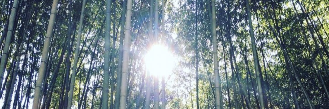 YSensei227's profile banner image