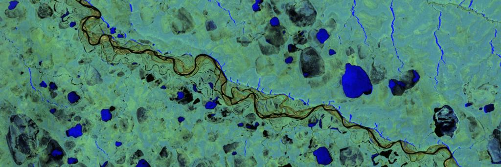 Sabina Dolenc banner