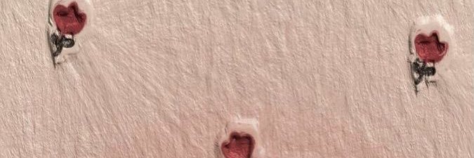 aphrodivyy's profile banner image