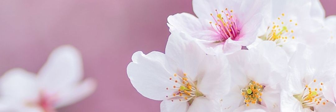 2841371's profile banner image