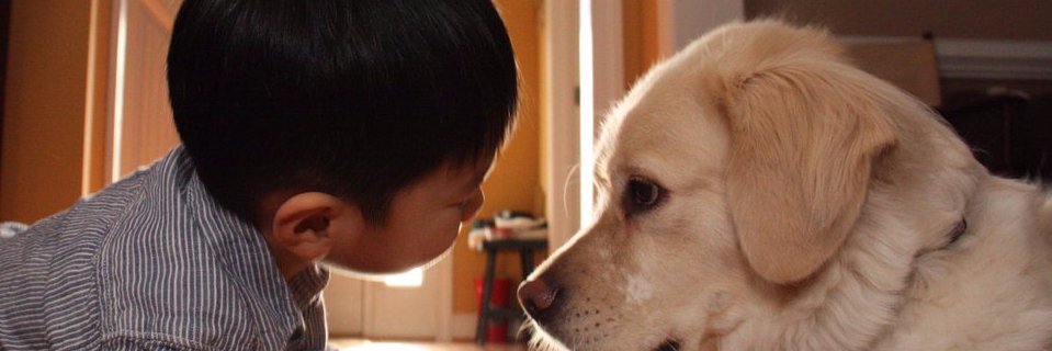 Lina (혜원) banner