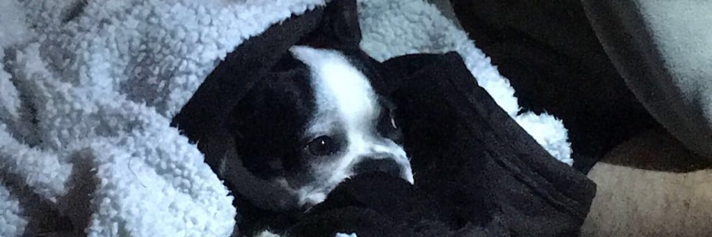 ReapDawg's profile banner image