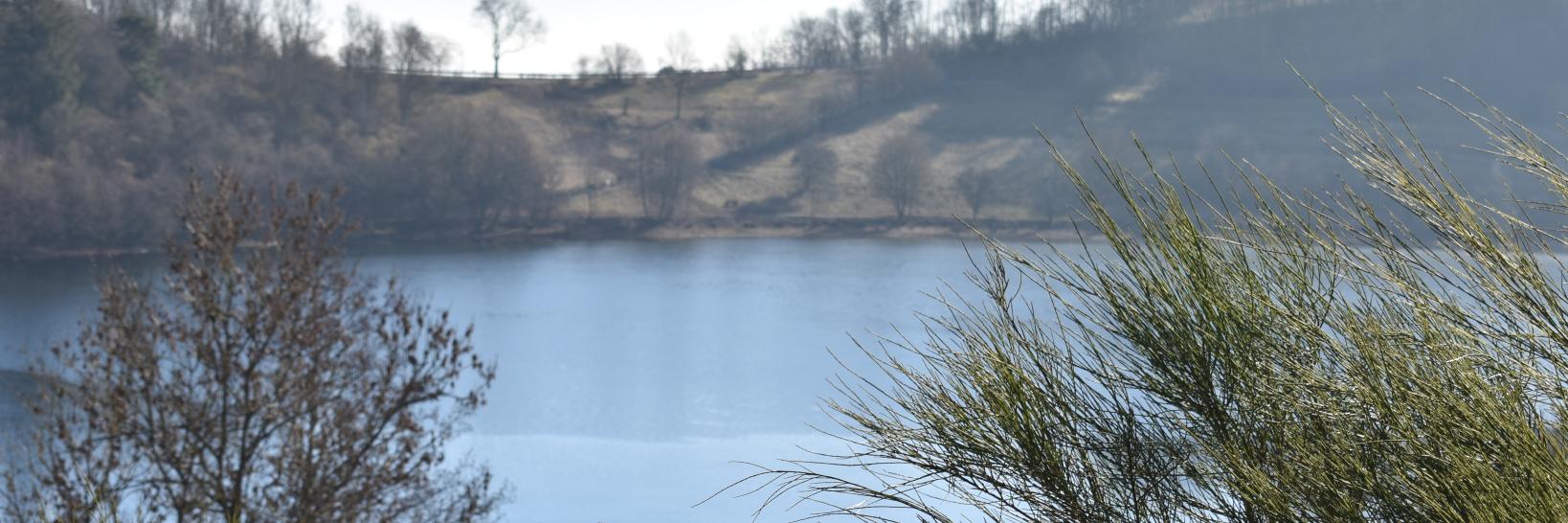 WS_Vulkaneifel's profile banner image