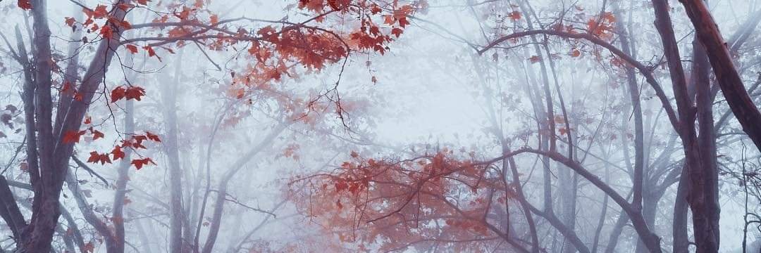 ryan75465's profile banner image