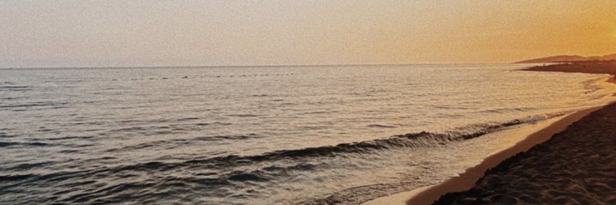 secharia15's profile banner image
