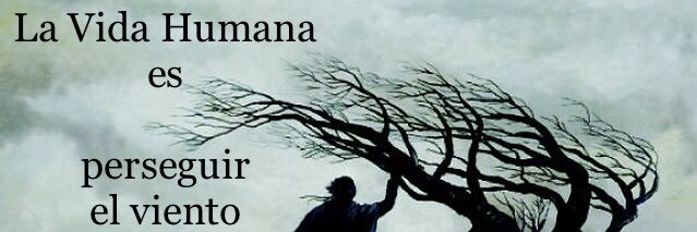 MtroCejaBernal's profile banner image