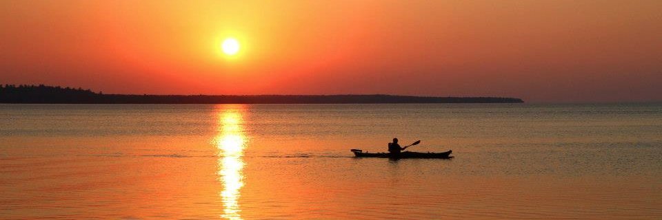 rswilcox's profile banner image