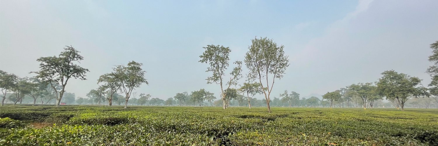 Lara (Schenck) Karki banner