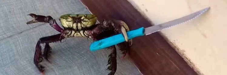 believes in god now banner