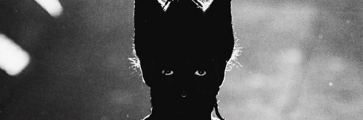 Randy97__'s profile banner image