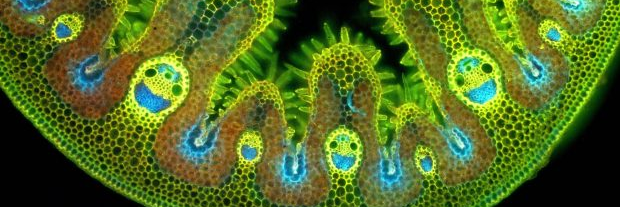 OHA_Science's profile banner image