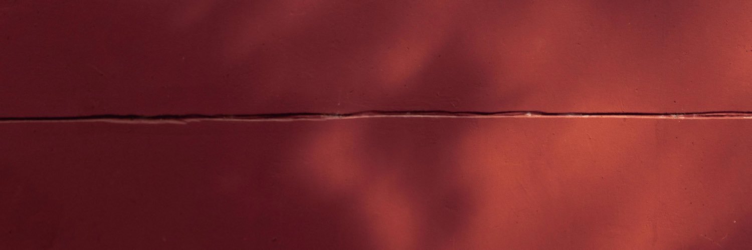 Diego banner