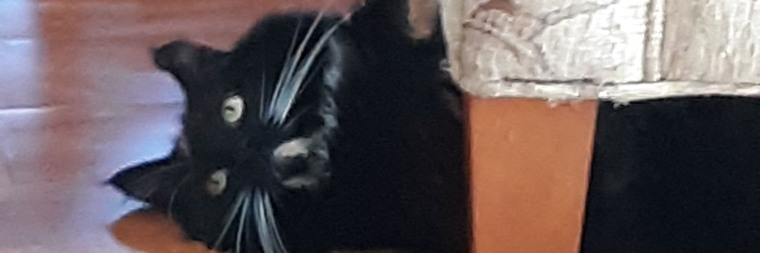 princessde72's profile banner image
