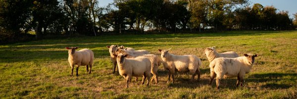 LarkhallButcher Profile Banner